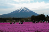 富士山火山喷发最新消息(细节！富士山火山最新喷发前的先兆)