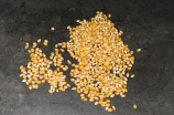 玉米收割机(了解更多：玉米收割机的种类和使用场景)