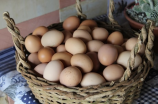 鸡蛋怎么做好吃(煮鸡蛋只要按这两个步骤，鲜香可口又易于消化！)