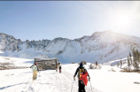自由式滑雪：飞跃雪场，展现极限