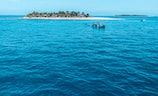 斐济旅游攻略（斐济珊瑚岛探秘：一个海底的梦乡）